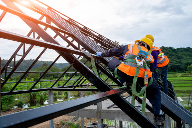 Best Roofing Contractor Near Me  in Le Mars, IA