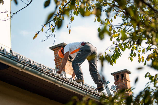 Best Residential Roofing Contractor  in Le Mars, IA