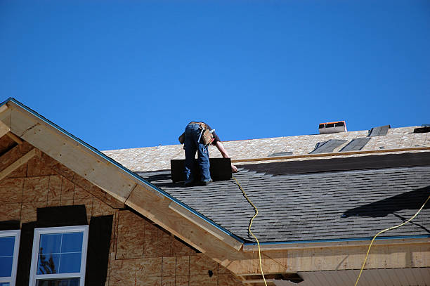 Best Best Roofing Contractors  in Le Mars, IA