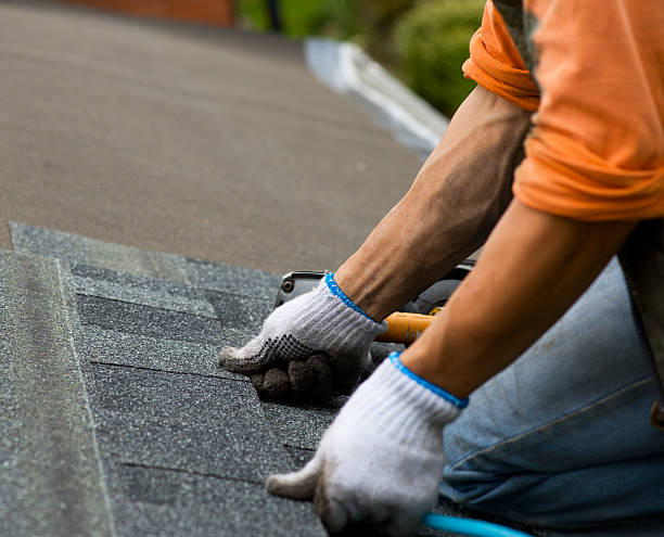 Best Shingle Roofing Installation  in Le Mars, IA