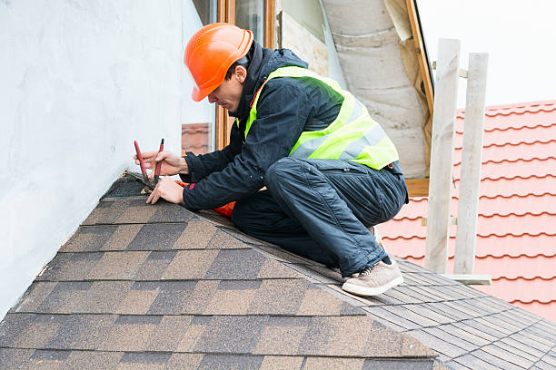 Best New Roof Installation  in Le Mars, IA