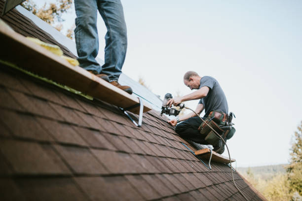 Best Residential Roofing Contractor  in Le Mars, IA