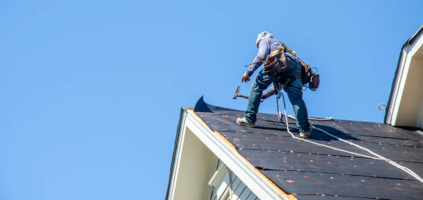 Best Roof Gutter Cleaning  in Le Mars, IA