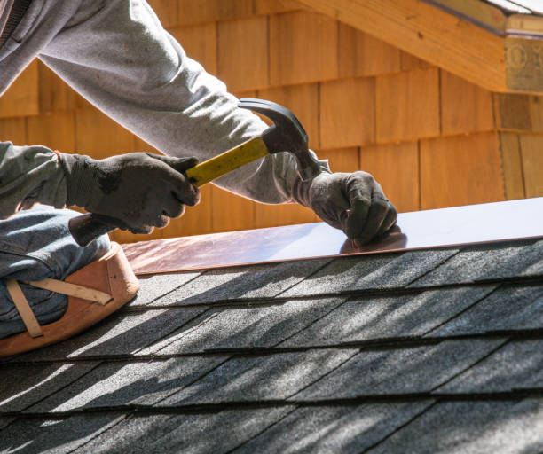 Best Roof Maintenance Services  in Le Mars, IA